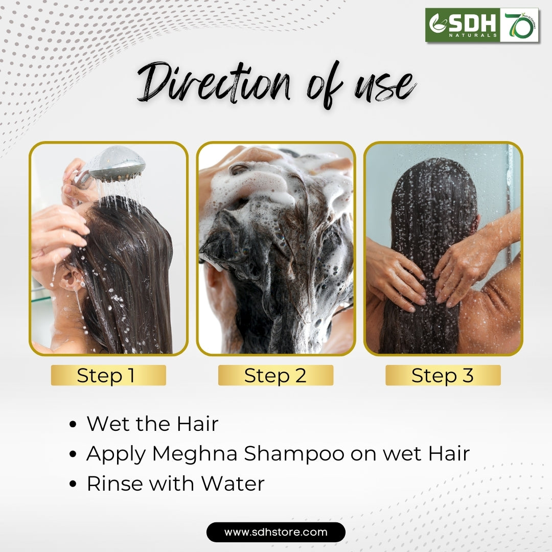 Holi Hair Care Kit : Hair Oil, Shampoo, Hair Vitalizer